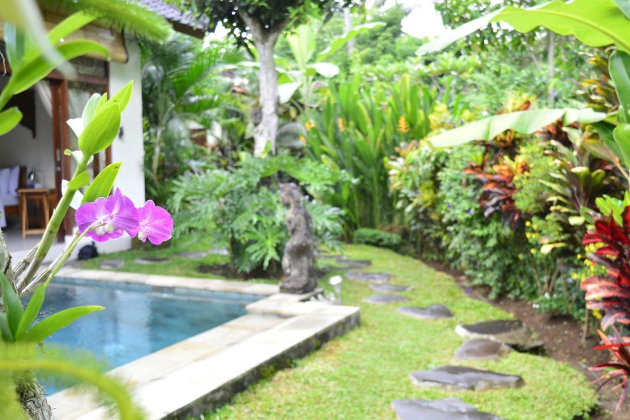 Villa Bindi Ubud Zewnętrze zdjęcie